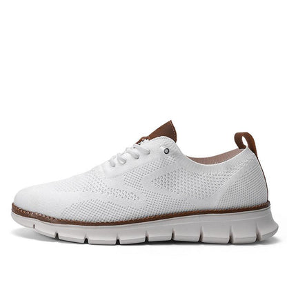 [Buy 1, Get 2] Westford Breeze